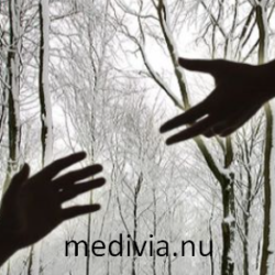 medivia.nu logotyp